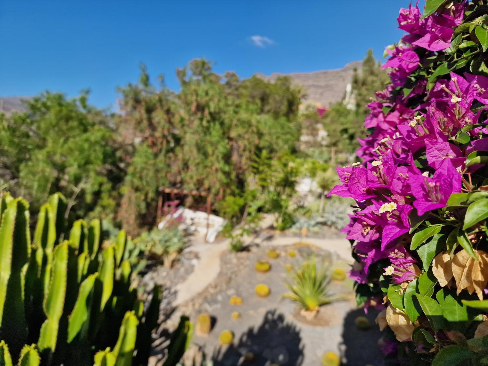Vila Historica Casa Con Vistas Al Jardin De Cactus Y Montanas Mogán Exteriér fotografie